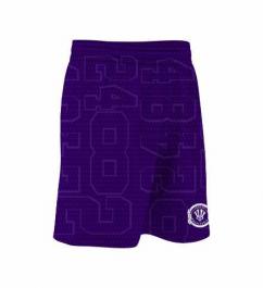 Sublimated Basketball Mesh Shorts Purple
